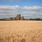 Dunbrody Abbey, 1210 (Hook Peninsula, Co. Wexford)